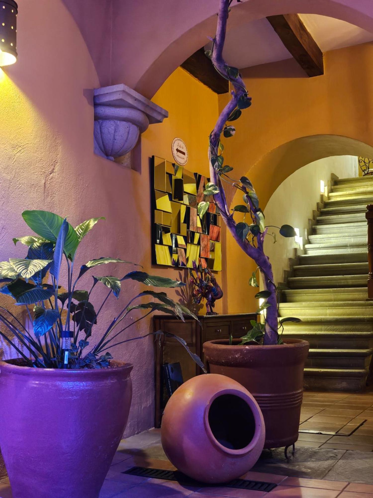 Hotel Casa Divina 오아하카주 외부 사진